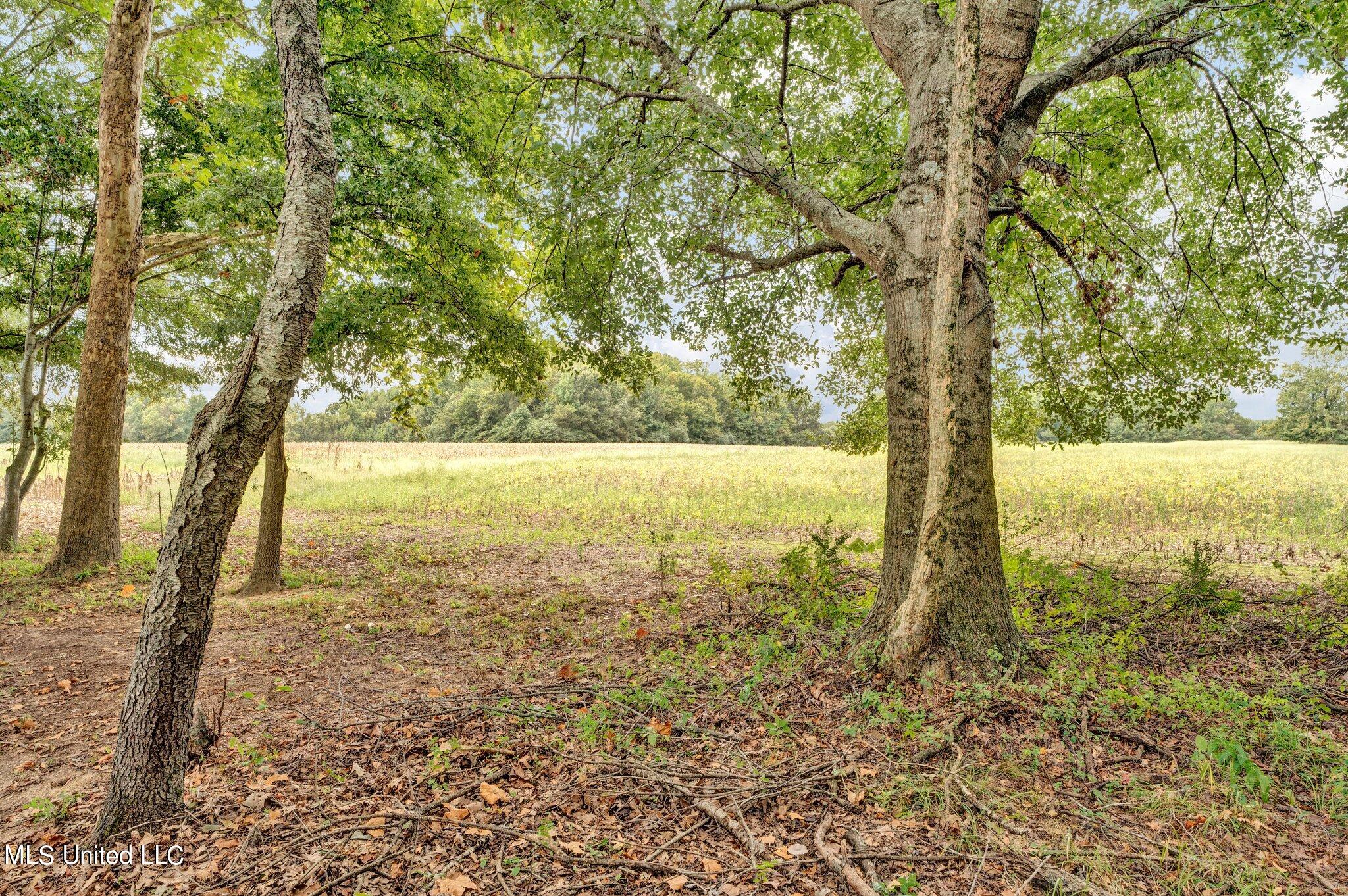 3433 Scott Road Hernando, MS 38632 - Photo 35 of 43 3433-2
