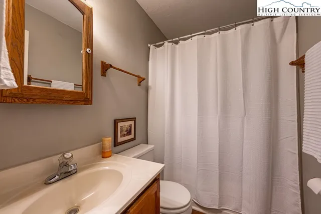 a bathroom with a sink a toilet and shower curtain