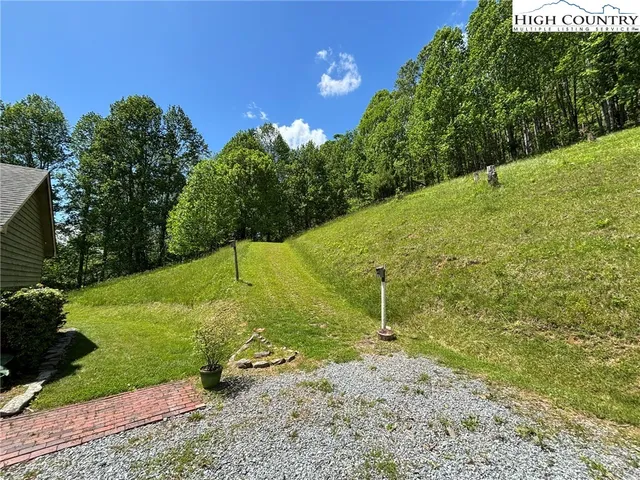 a view of a big yard with a large tree