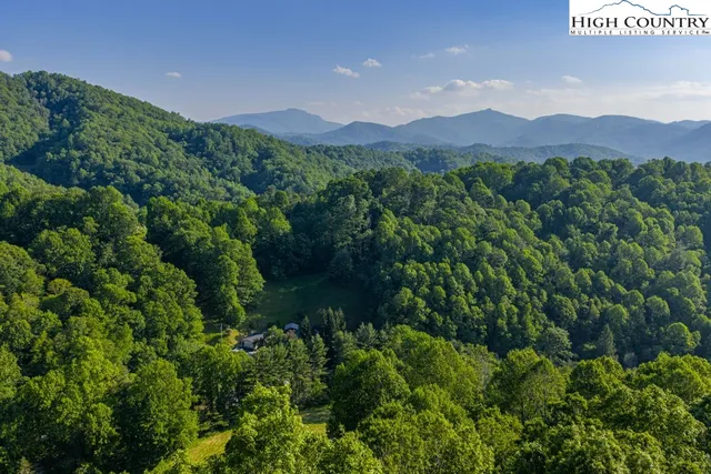 a view of a town with trees in the background