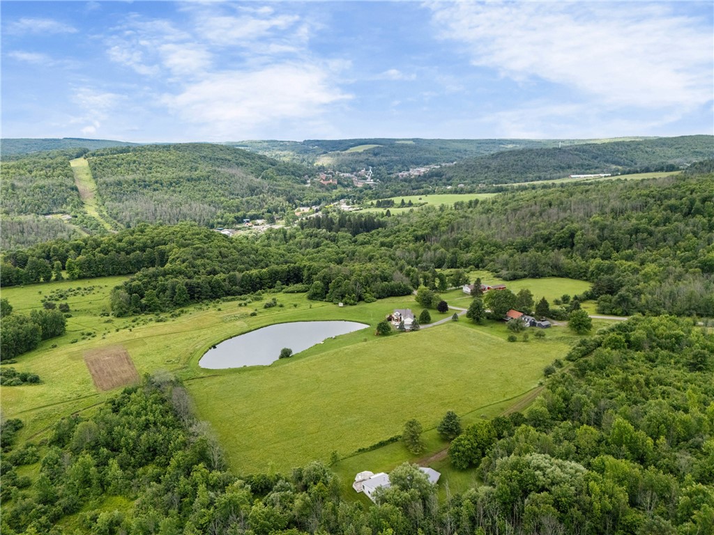 6370 Palmiter Road Alfred, NY 14803 - Photo 44 of 45 Aerial View from Behind the House