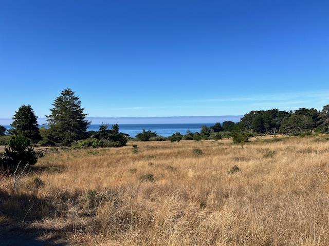 375 Spur Close The Sea Ranch, CA 95497 - Photo 9 of 16