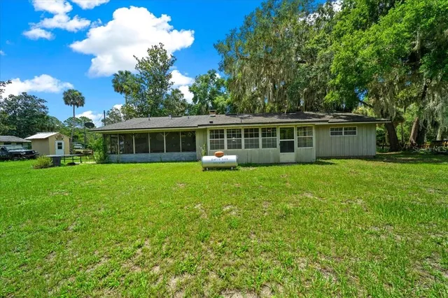 a view of a park with a tree