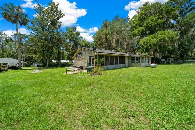 a view of a park with large trees