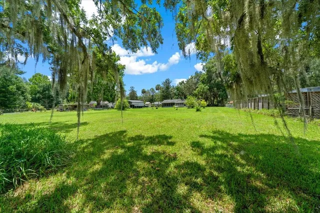 a backyard of a house with table and chairs and a large tree