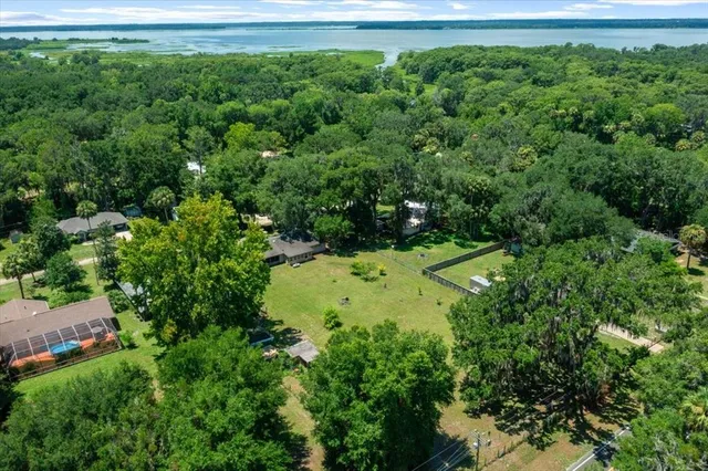 a view of a yard with plants