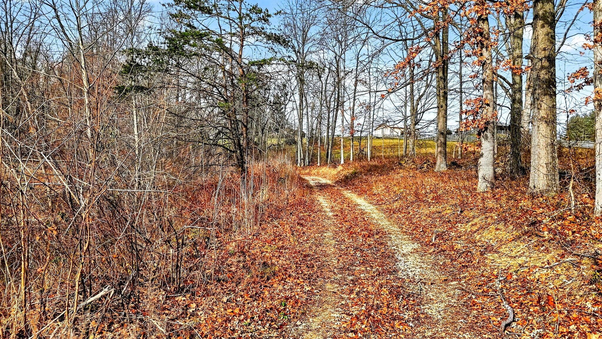 3133 4 Mile Road Jackson, OH 45640 - Photo 4 of 40 3. 3133 Four Mile Rd 34
