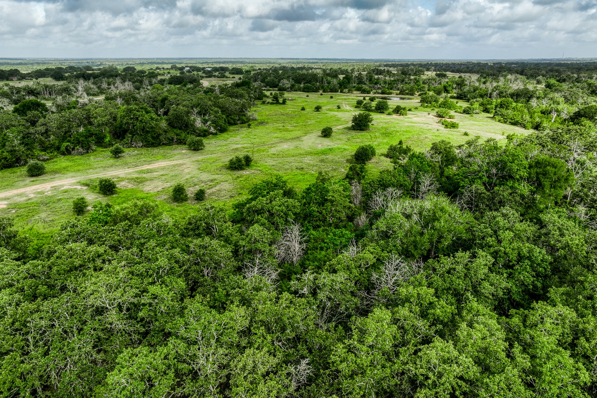 9 South Nassau Road Round Top, TX 78954 - Photo 20 of 23 a view of a bunch of trees and bushes