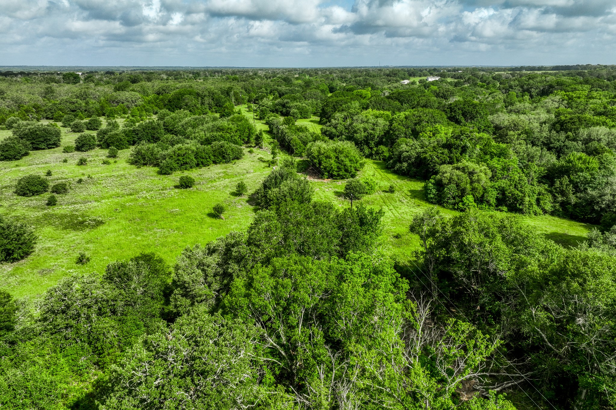9 South Nassau Road Round Top, TX 78954 - Photo 22 of 23 a view of a yard