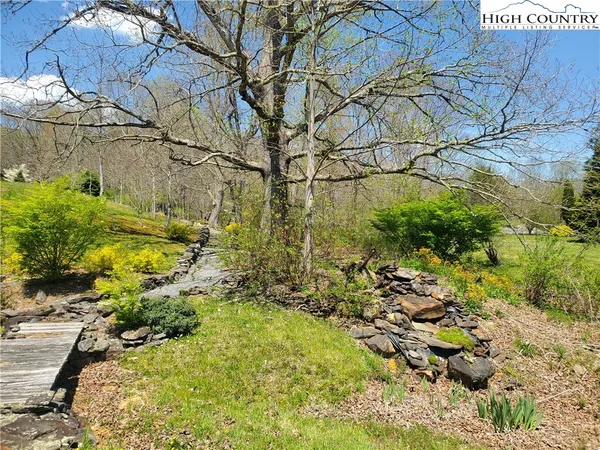 a view of a yard with plants and large trees