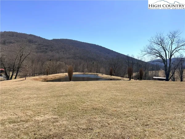 a view of swimming pool with a yard
