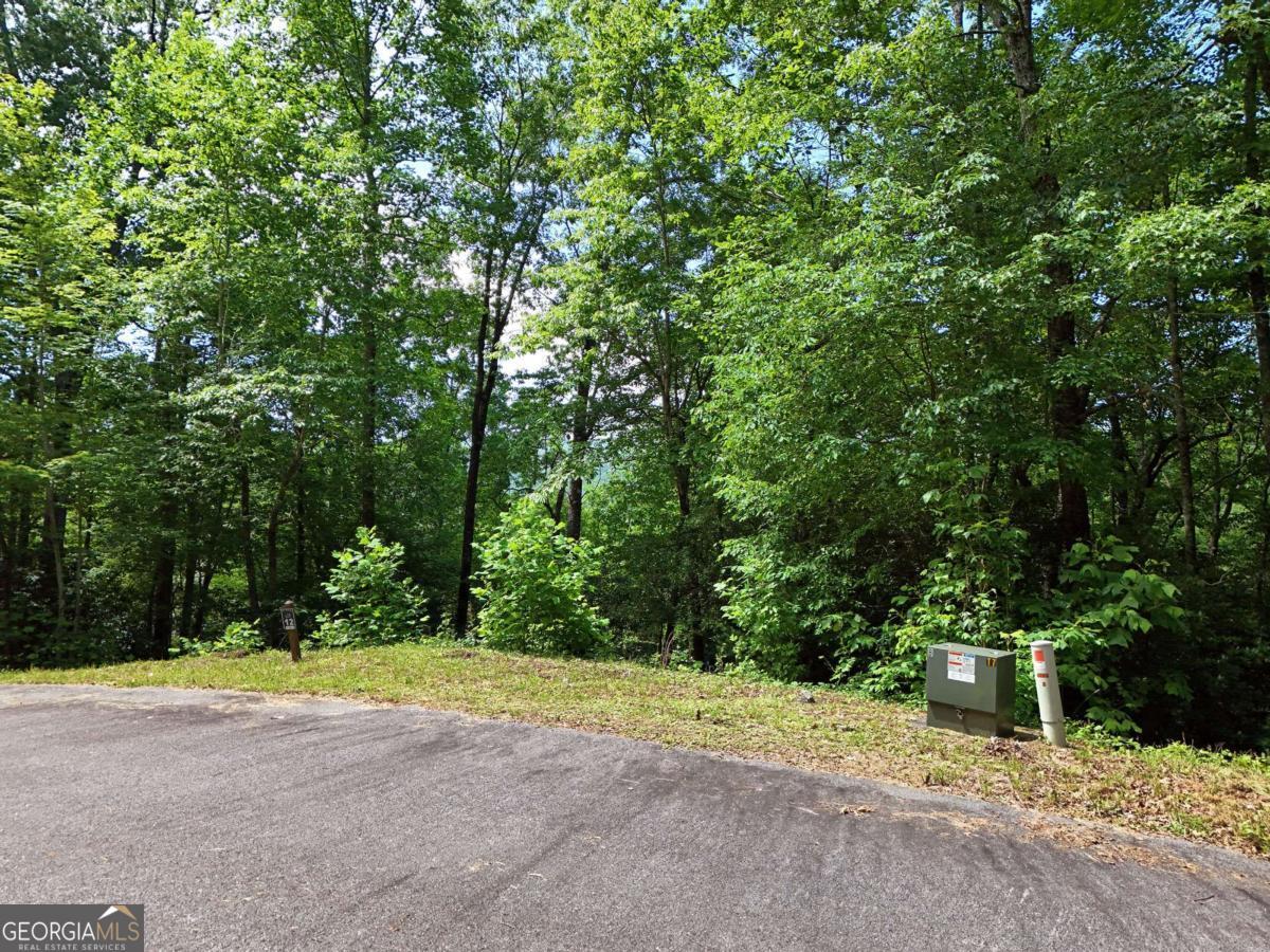 Lot 12 Hightower Ridge Hiawassee, GA 30546 - Photo 9 of 23