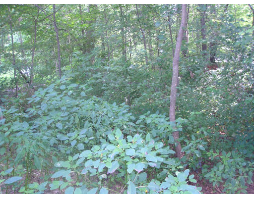 86 Spring Street Wakefield, MA 01880 - Photo 4 of 14 Gallery Image 4