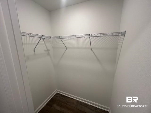 14717 Dayton Circle Foley, AL 36535 - Photo 29 of 39 Spacious closet with hardwood / wood-style floors