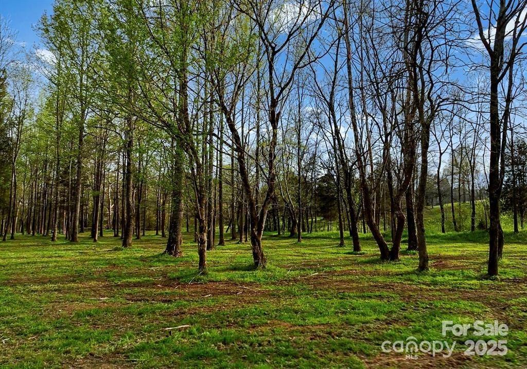 642 Patterson Farm Road Mooresville, NC 28115 - Photo 17 of 24 Gallery Image 17
