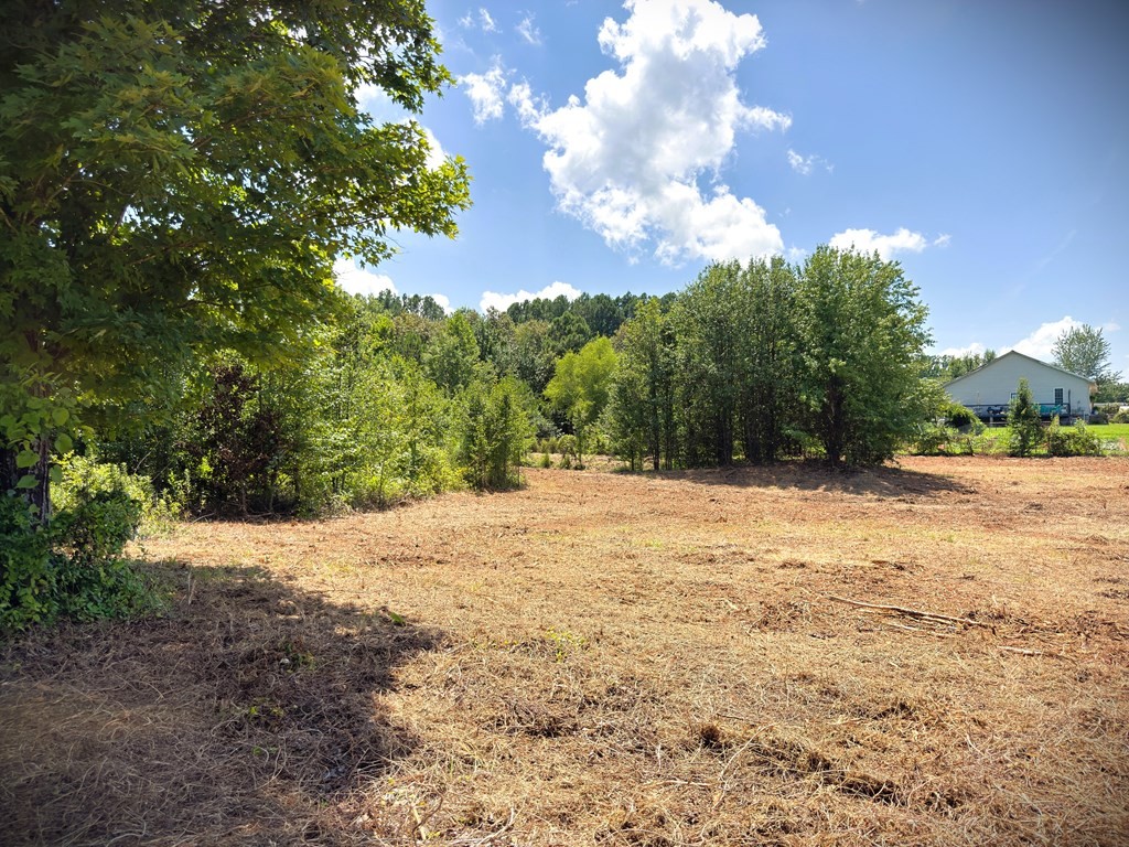 0 Marcrom Road Morrison, TN 37357 - Photo 13 of 26