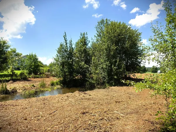 a view of a big room with a big yard
