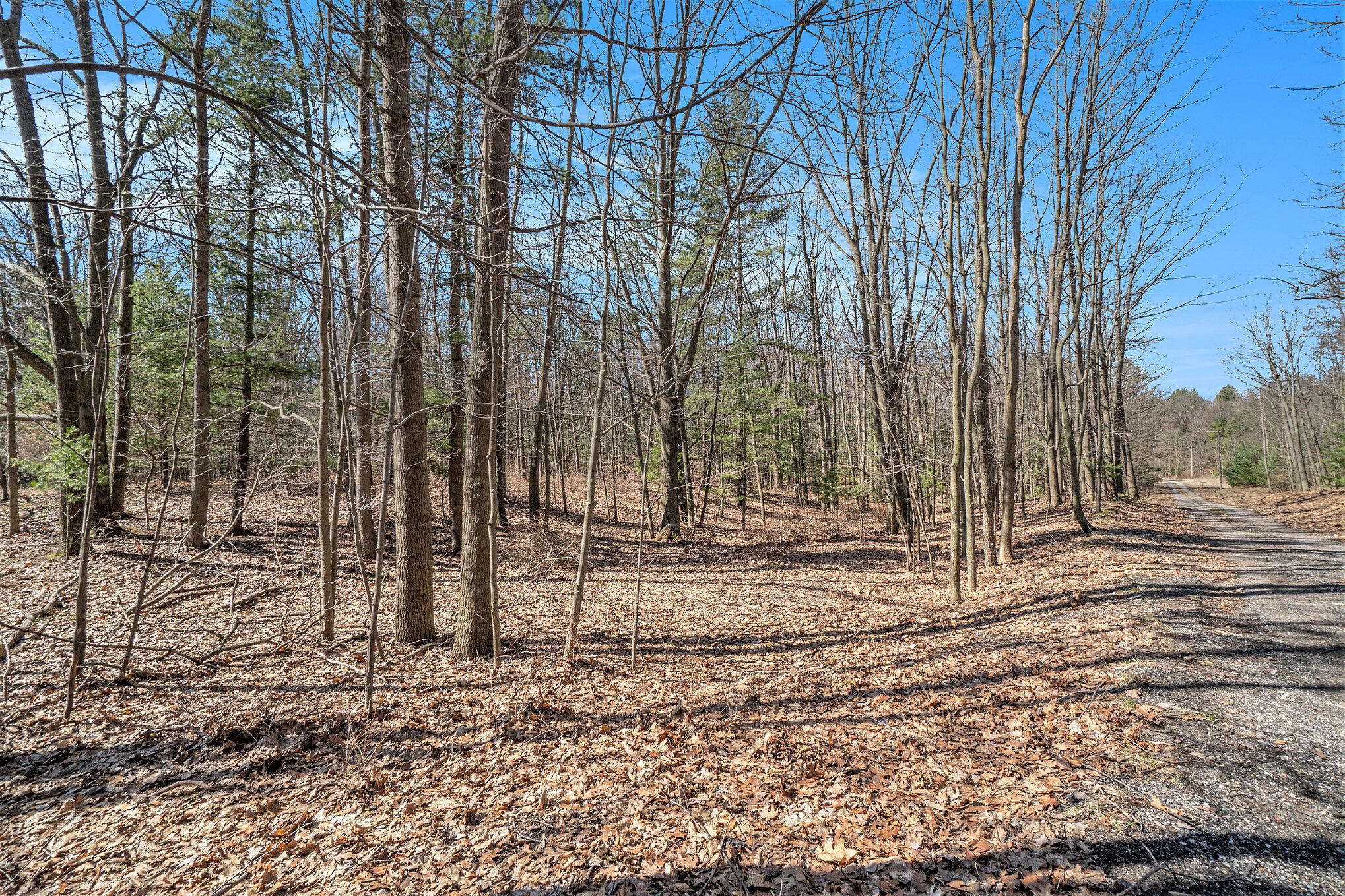 15 Acres W Kott Road Manistee, MI 49660 - Photo 11 of 29 011_dsc00833_268