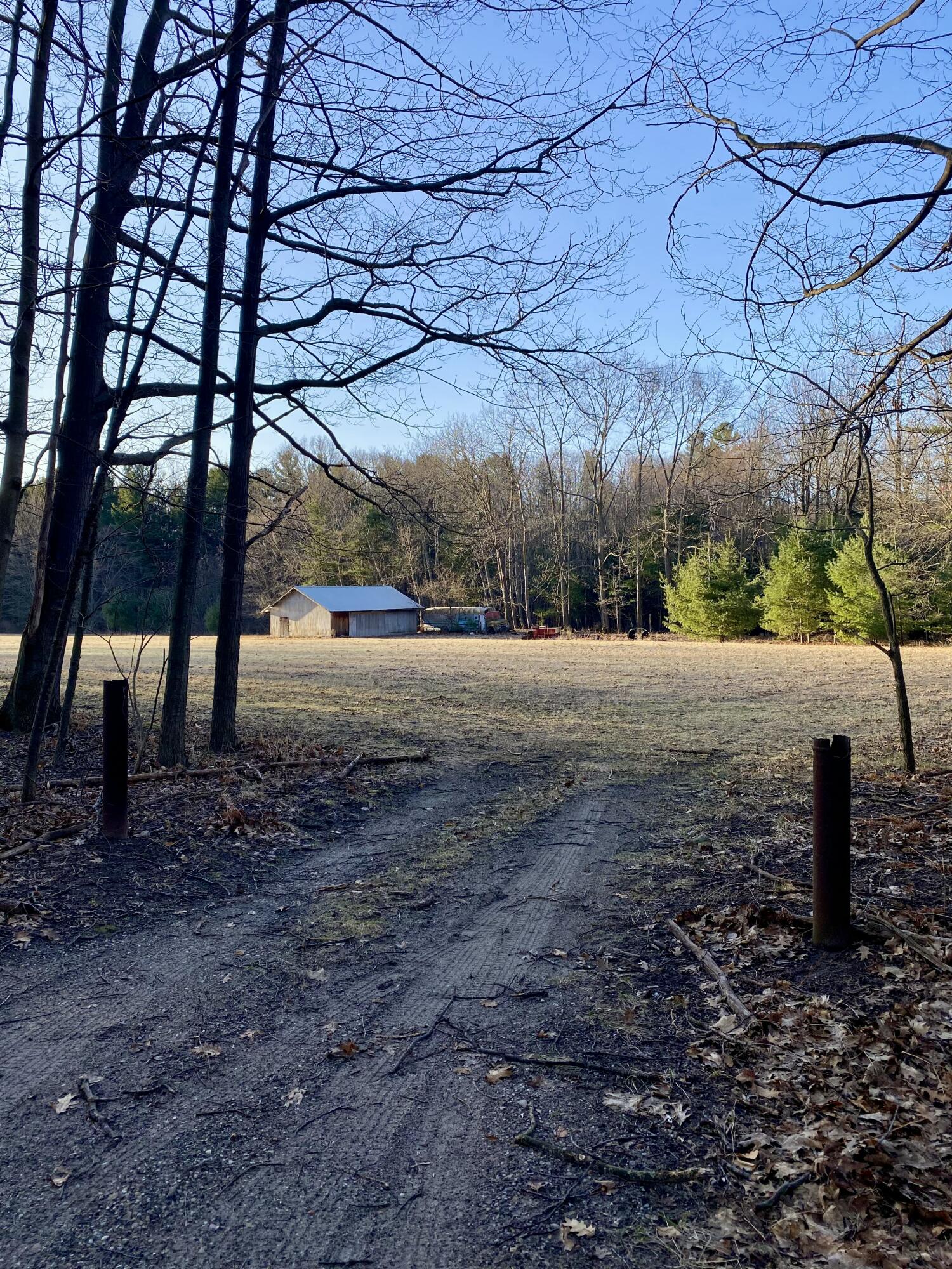 15 Acres W Kott Road Manistee, MI 49660 - Photo 14 of 29 IMG_1207