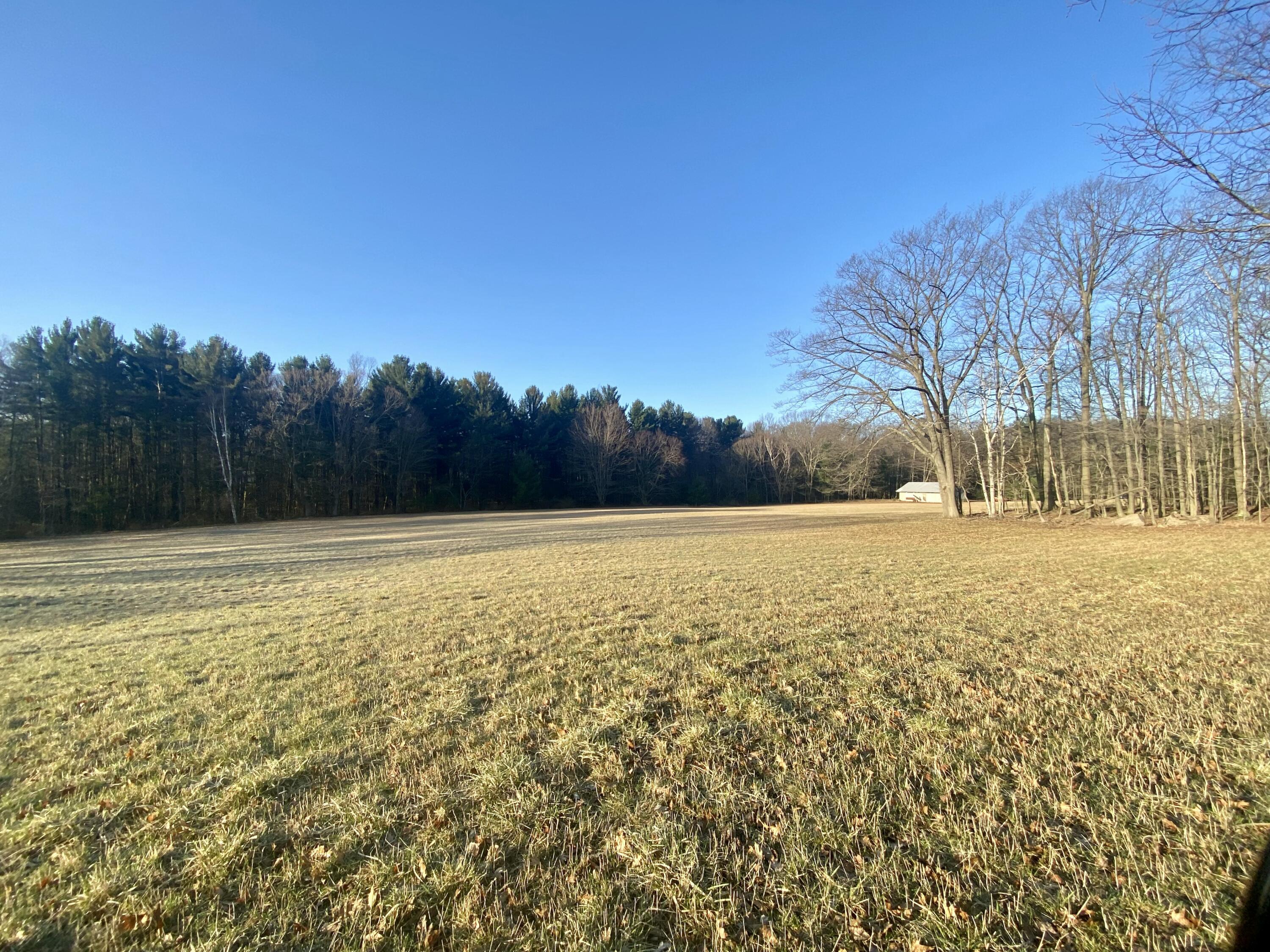 15 Acres W Kott Road Manistee, MI 49660 - Photo 17 of 29 IMG_1221