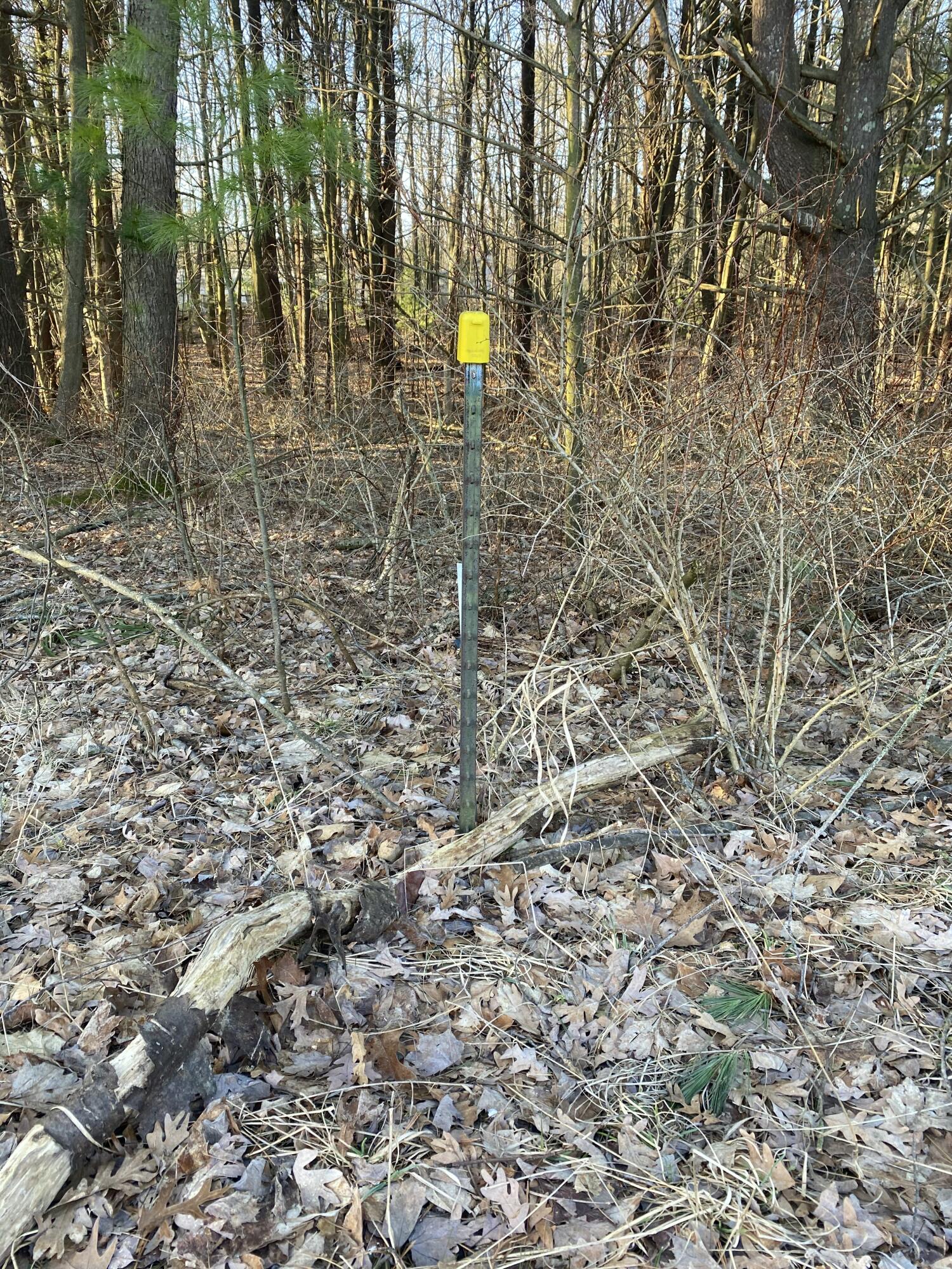 15 Acres W Kott Road Manistee, MI 49660 - Photo 18 of 29 IMG_1224