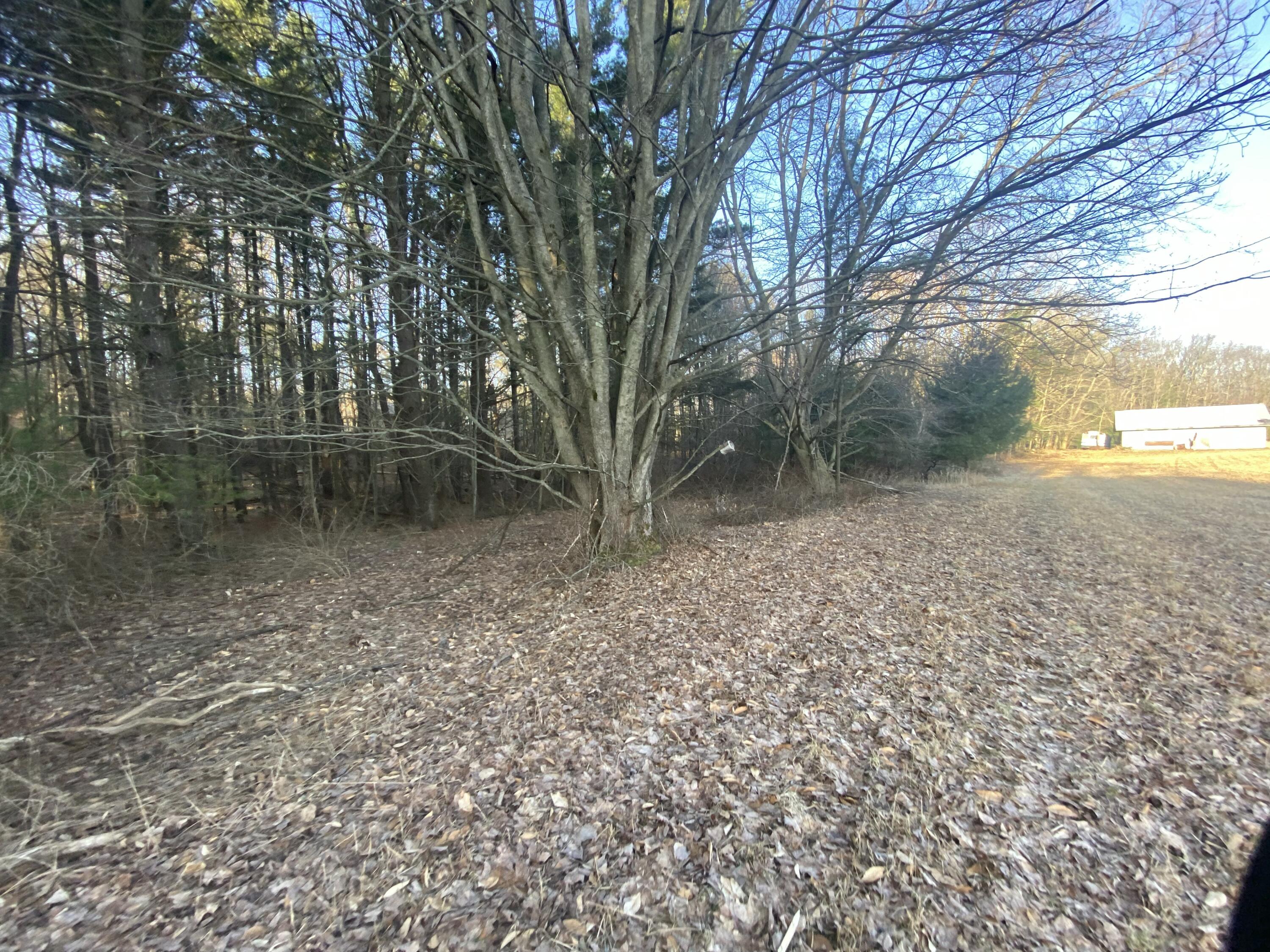 15 Acres W Kott Road Manistee, MI 49660 - Photo 20 of 29 IMG_1226