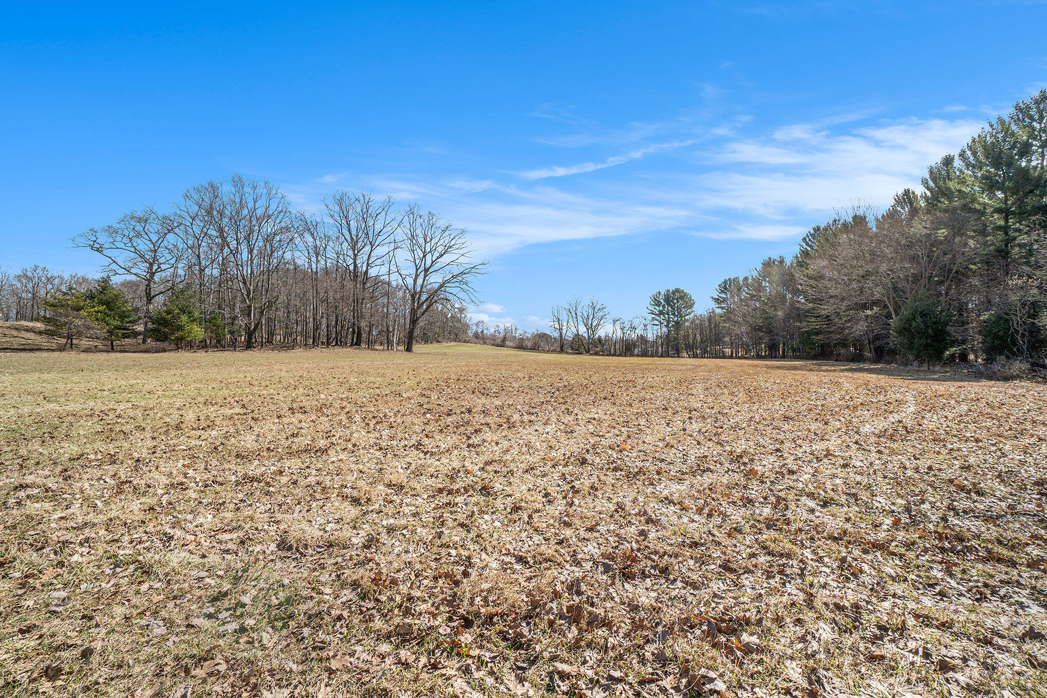 15 Acres W Kott Road Manistee, MI 49660 - Photo 9 of 29 009_dsc00803_392