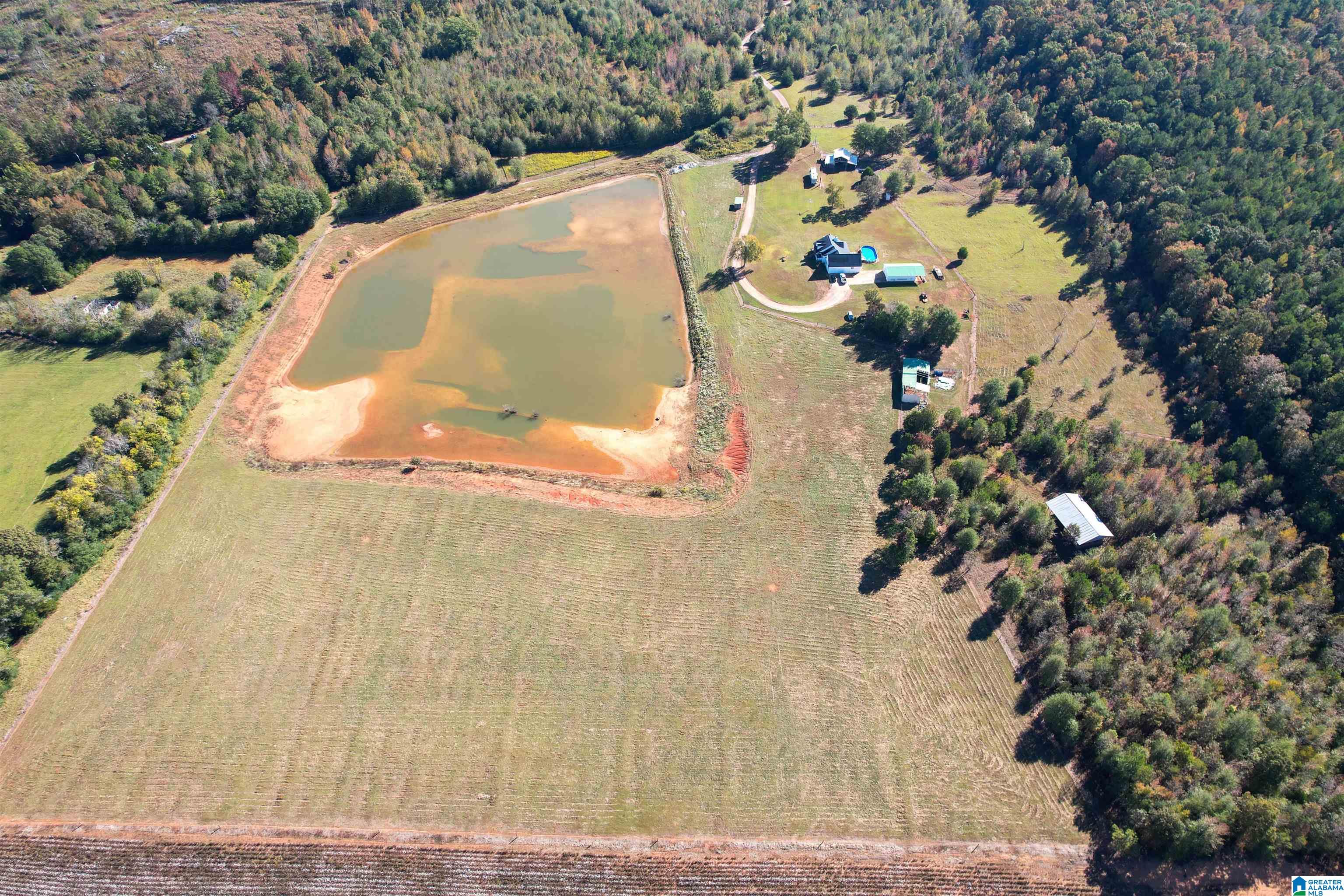 1450 Rendalia Motorway Talladega, AL 35160 - Photo 15 of 64