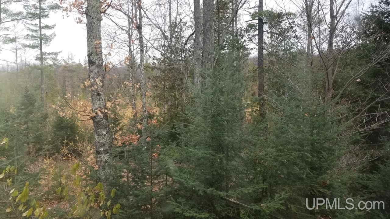 1192 Stromberg Road Iron River, MI 49935 - Photo 32 of 35