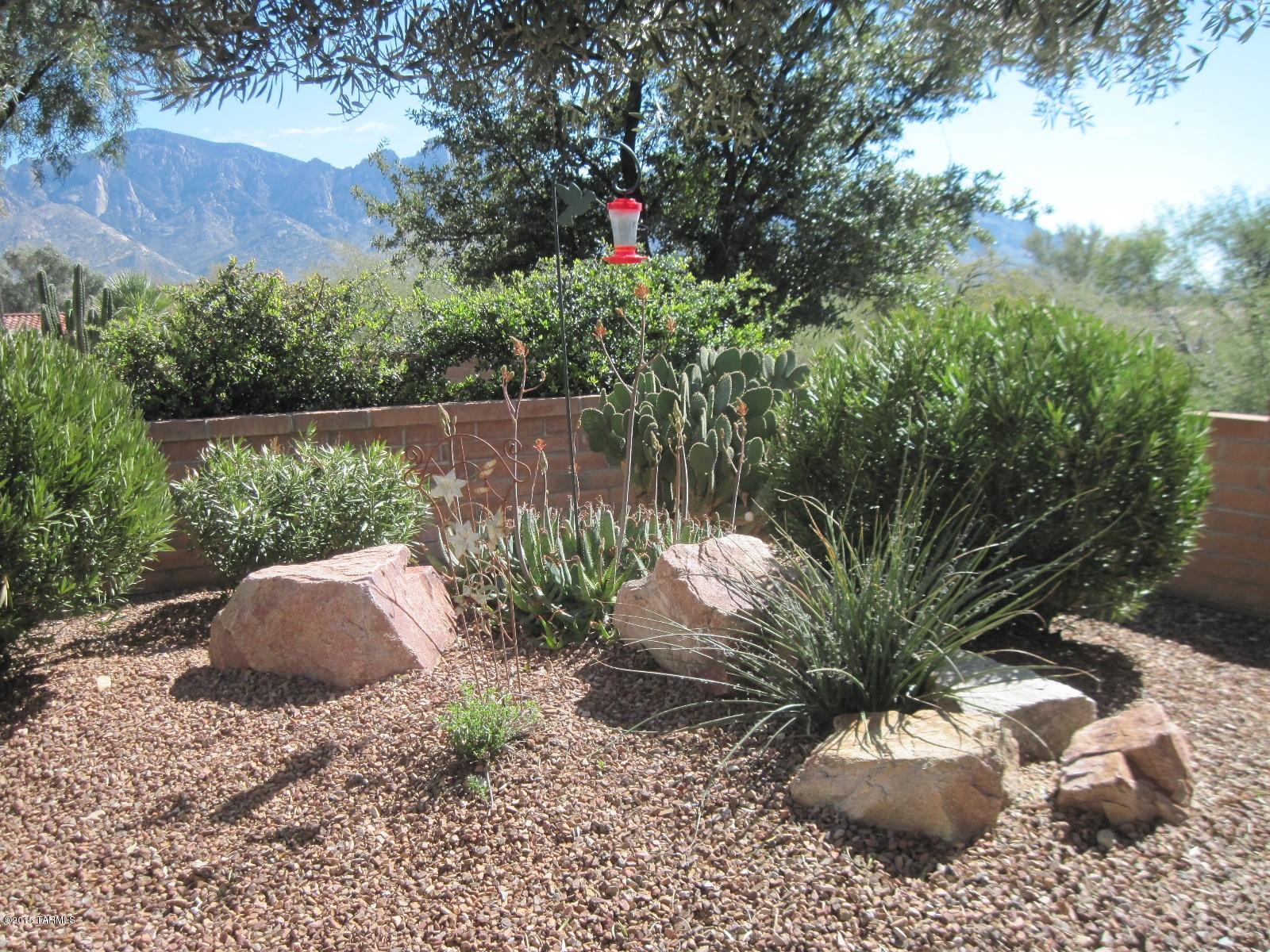 13673 North Pima Spring Way Oro Valley, AZ 85755 - Photo 34 of 40
