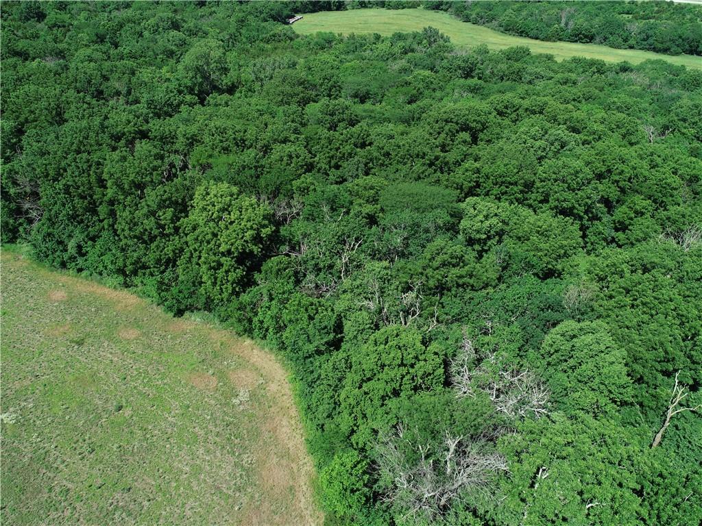 Metcalf Rd Road Louisburg, KS 66053 - Photo 7 of 17