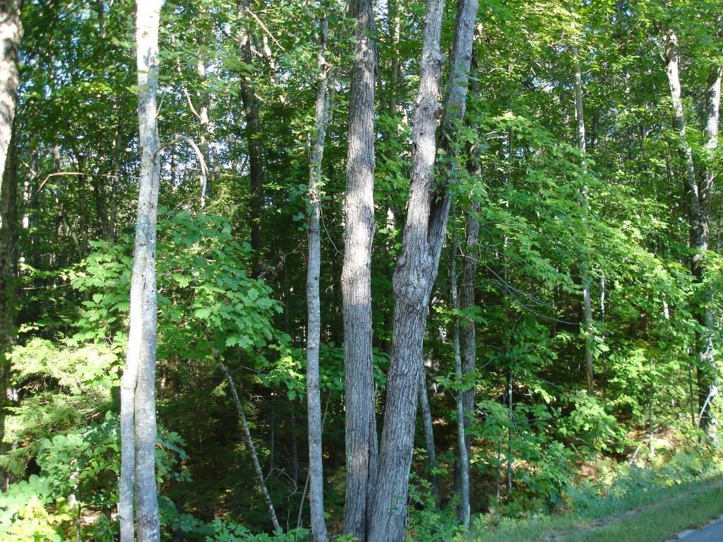 0 Hollis Road Biddeford, ME 04005 - Photo 4 of 8 Photo