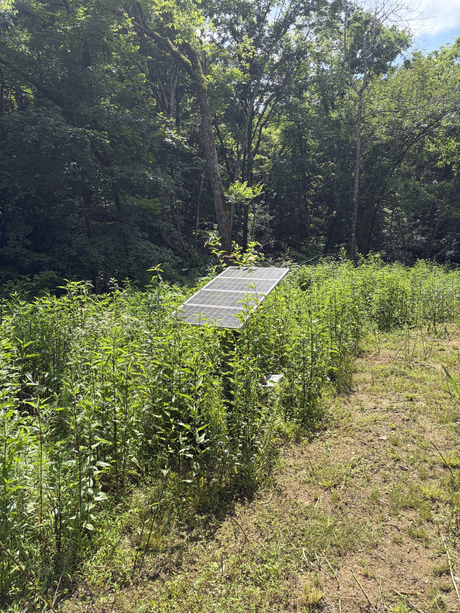 0 Kelso-Smithland Road Kelso, TN 37348 - Photo 27 of 45 a view of outdoor space and garden