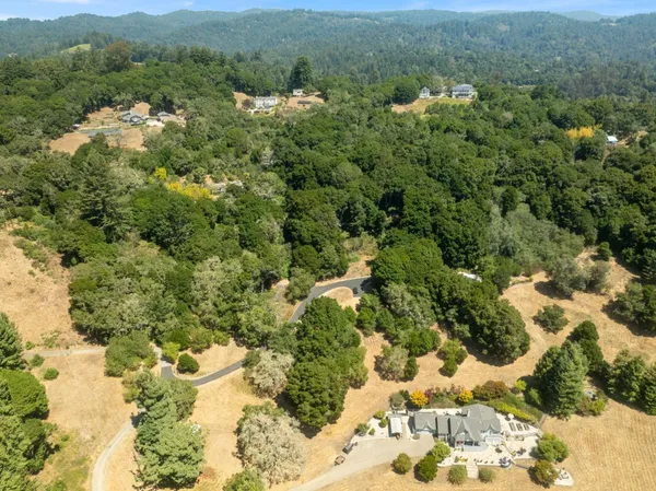 a view of a forest with a yard and mountain view