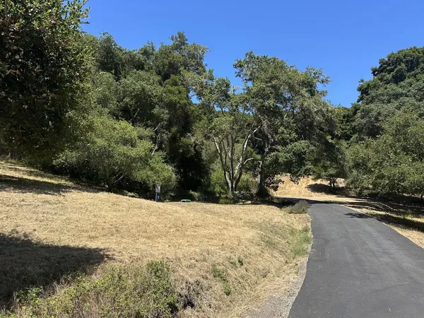 a view of a yard with a tree