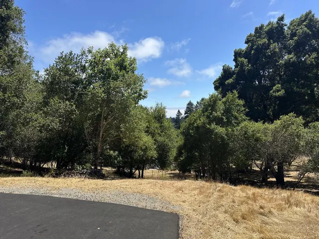 a street view covered with snow