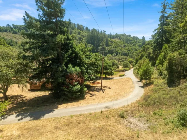 a view of a yard with trees