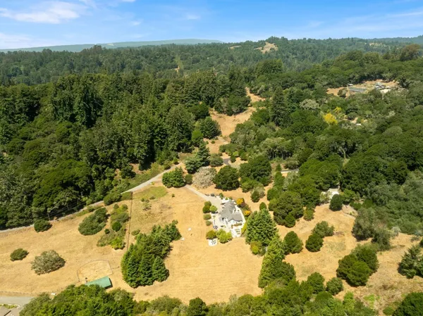 a view of a yard with a tree