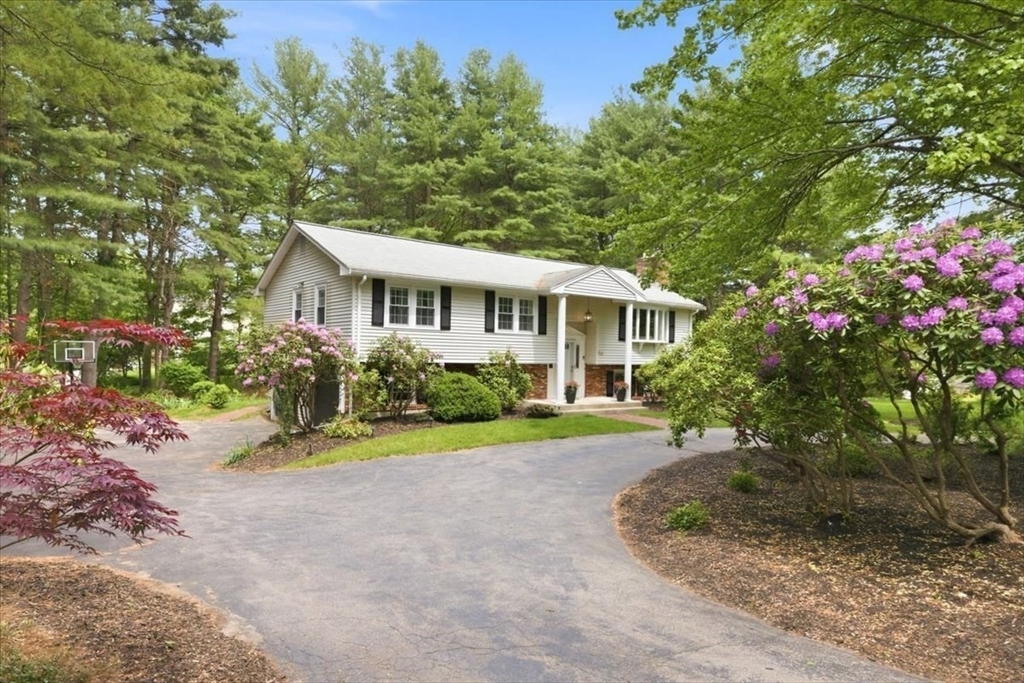 94 High Street Walpole, MA 02081 - Photo 38 of 42