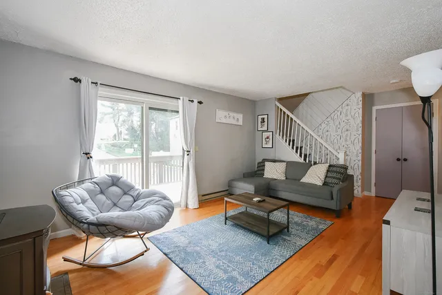 a living room with furniture and a rug