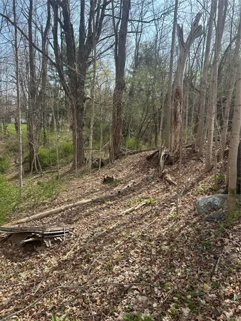 $65,000 | 552 Holmes Road, Holmes, NY 12531