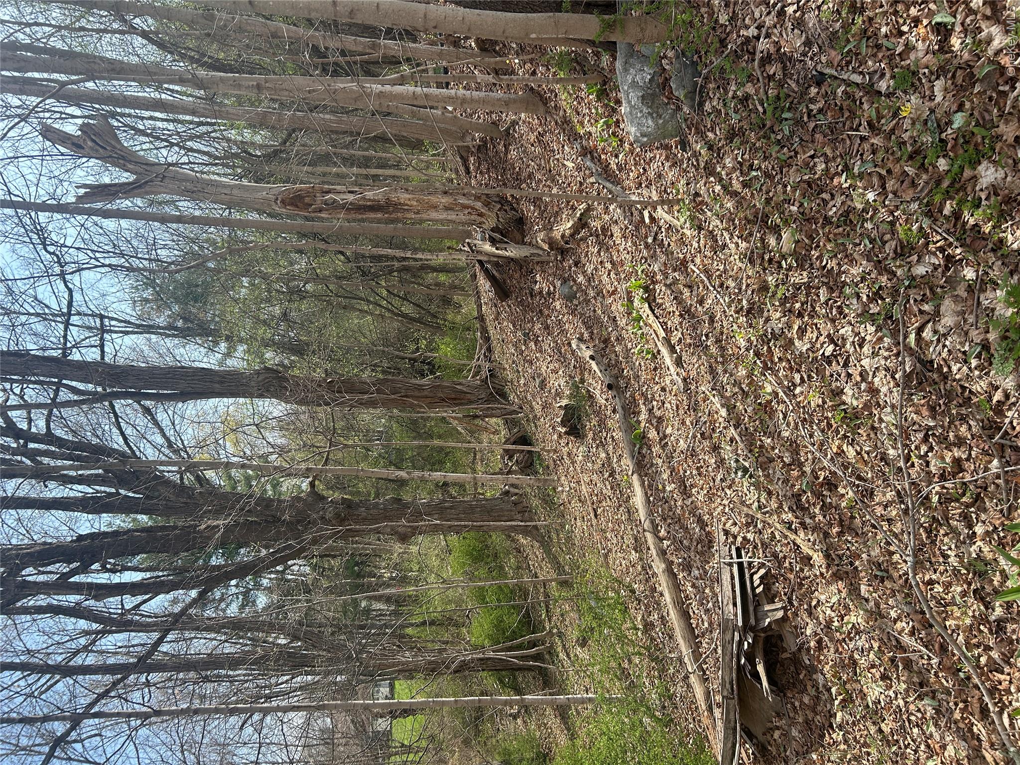 552 Holmes Road Holmes, NY 12531 - Photo 2 of 2