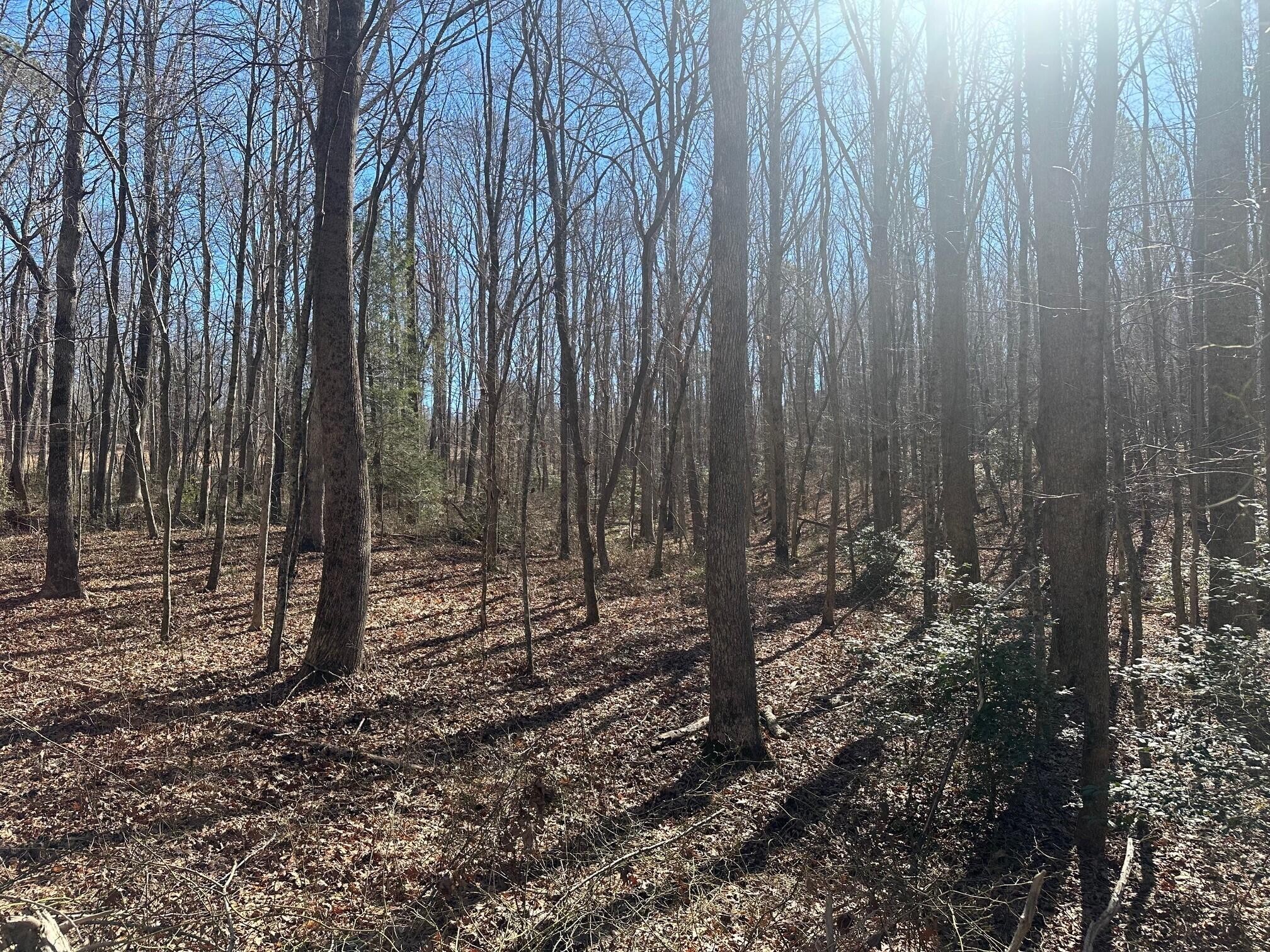 1 Newt Meeks Road Tracy City, TN 37387 - Photo 13 of 18 Gallery Image 13