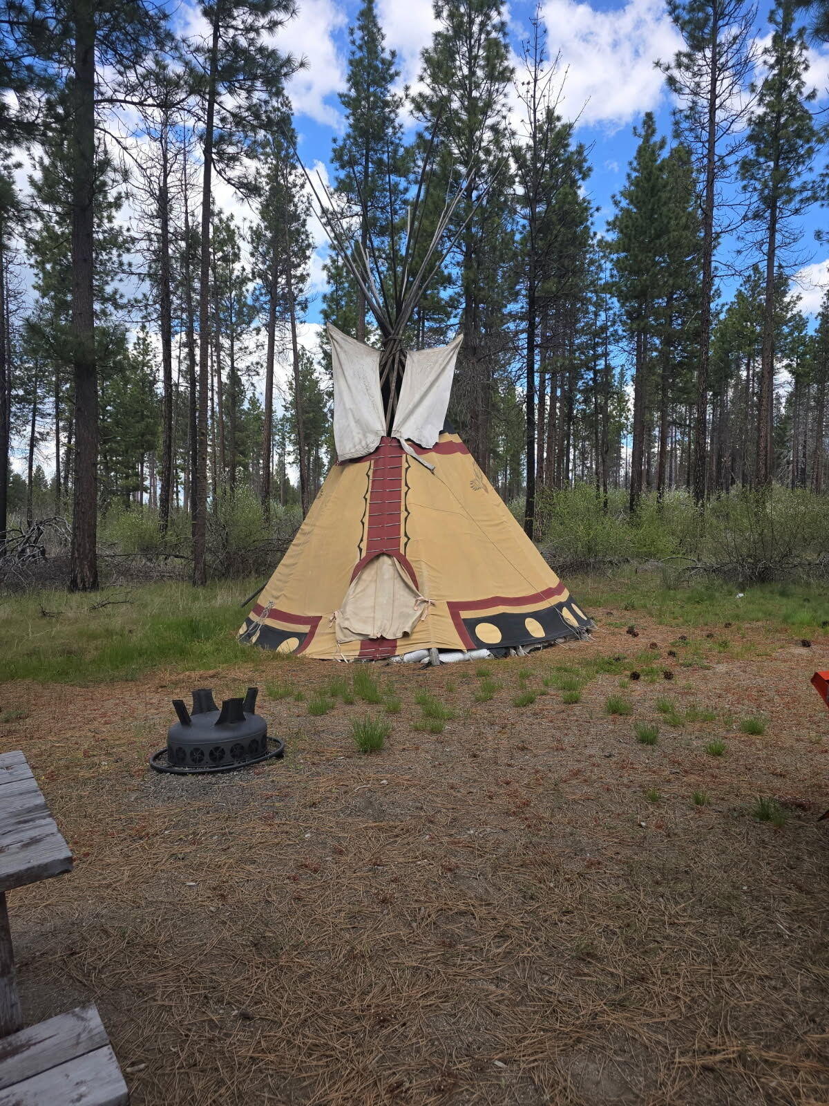 0 Oregon 62 Chiloquin, OR 97624 - Photo 11 of 42 9057171275335951309