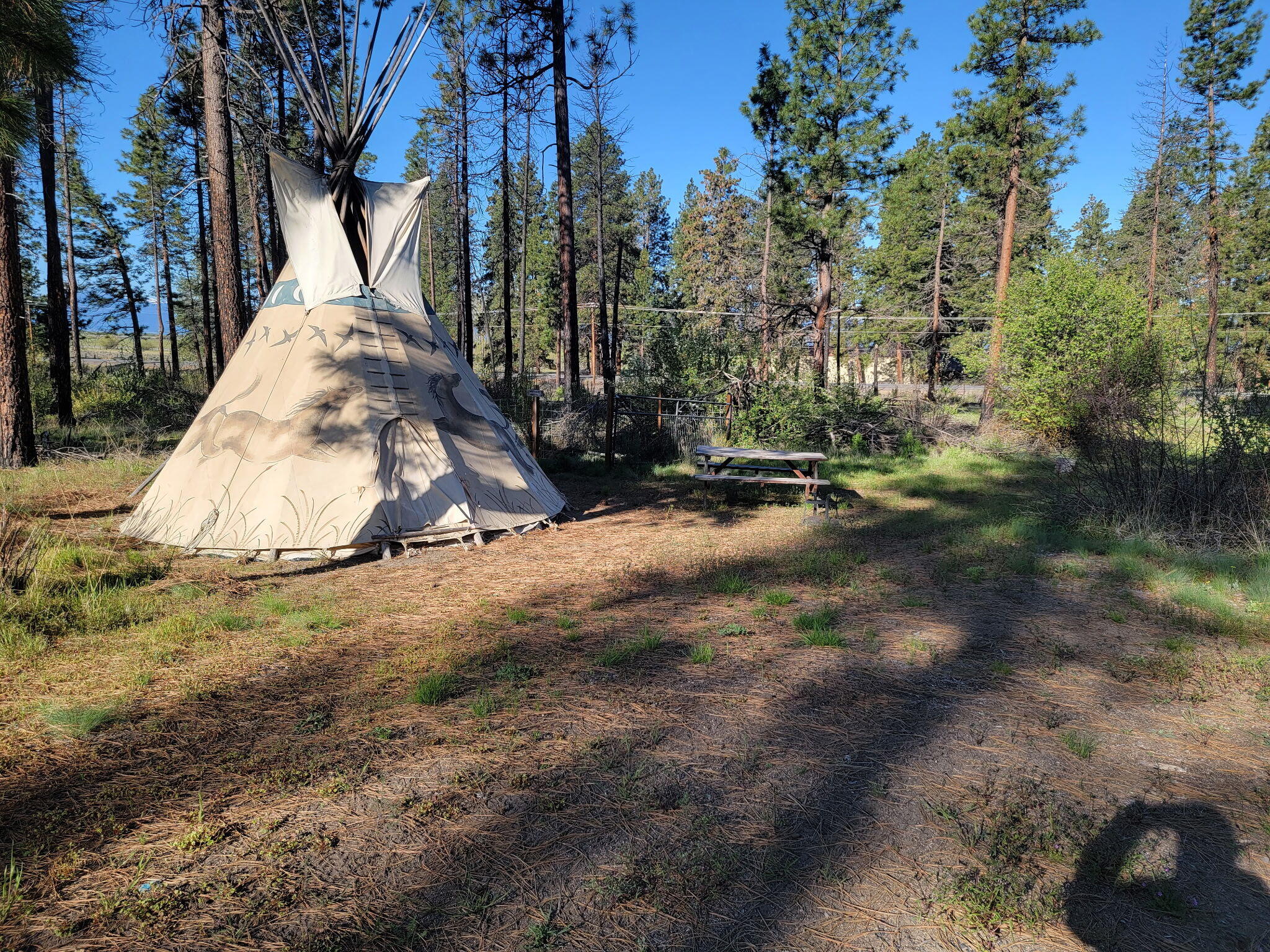 0 Oregon 62 Chiloquin, OR 97624 - Photo 15 of 42 1000010921