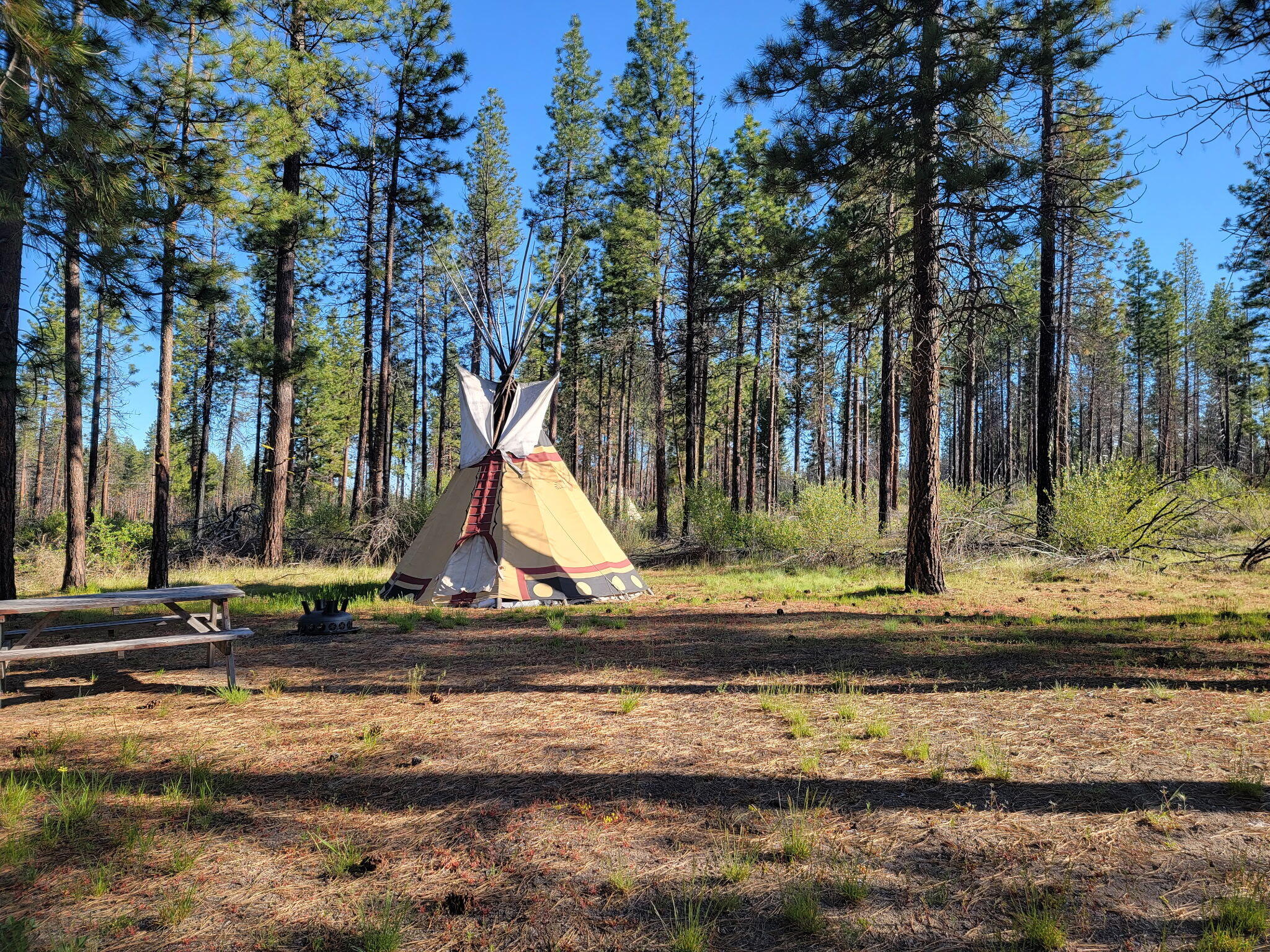 0 Oregon 62 Chiloquin, OR 97624 - Photo 16 of 42 1000010914