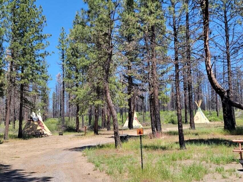 0 Oregon 62 Chiloquin, OR 97624 - Photo 19 of 42 TP 3