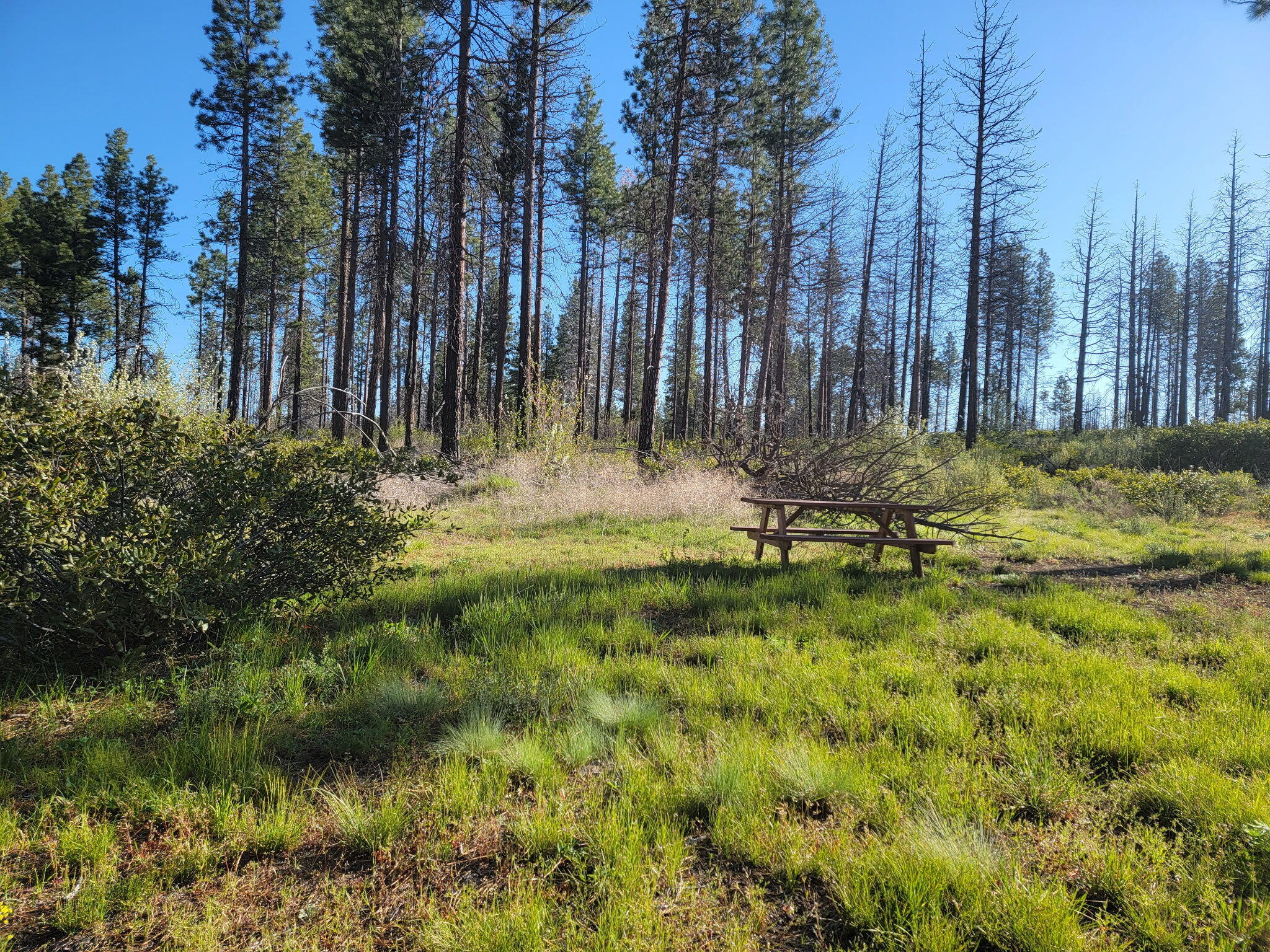 0 Oregon 62 Chiloquin, OR 97624 - Photo 24 of 42 1000010919