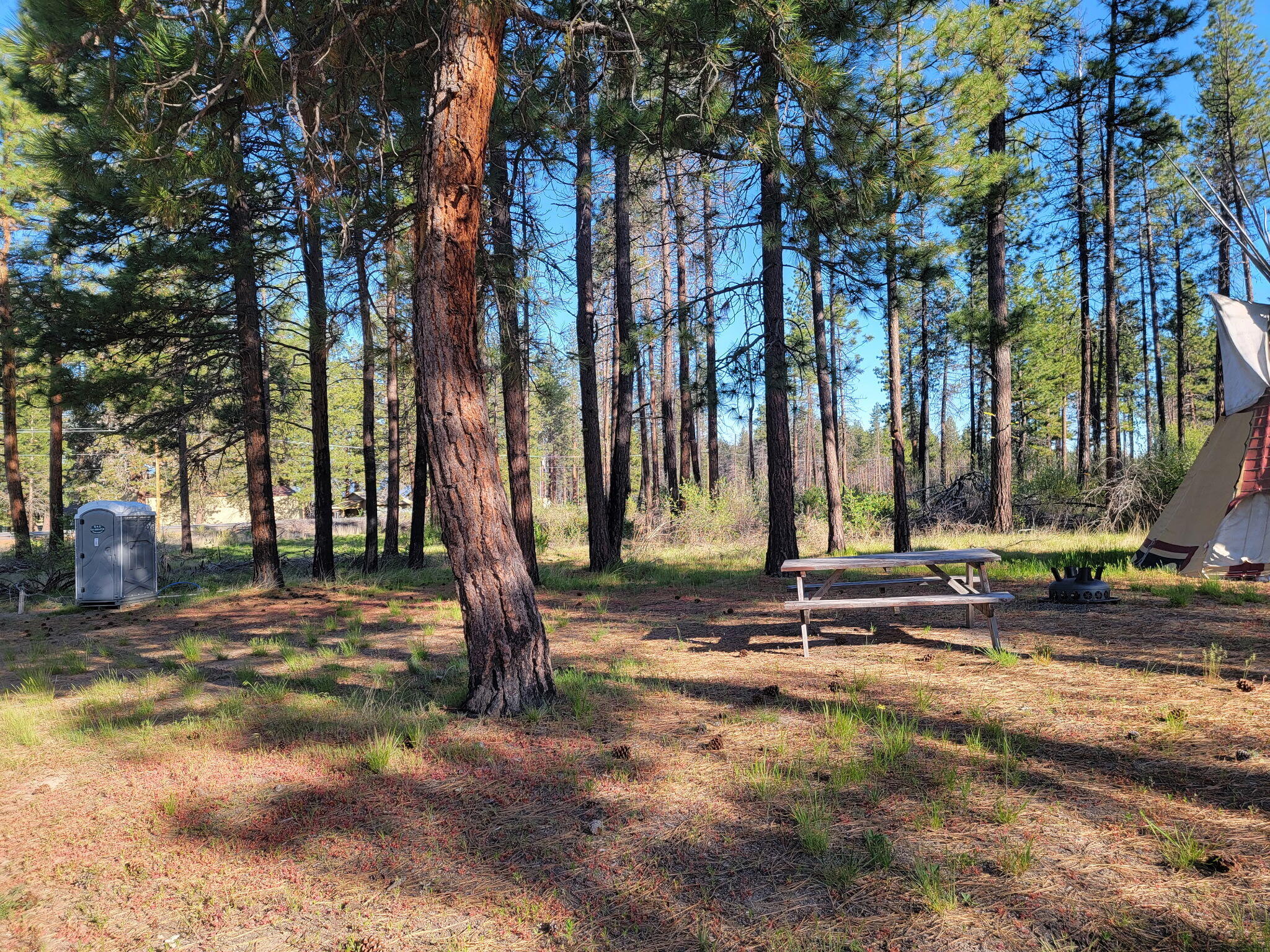 0 Oregon 62 Chiloquin, OR 97624 - Photo 25 of 42 1000010915