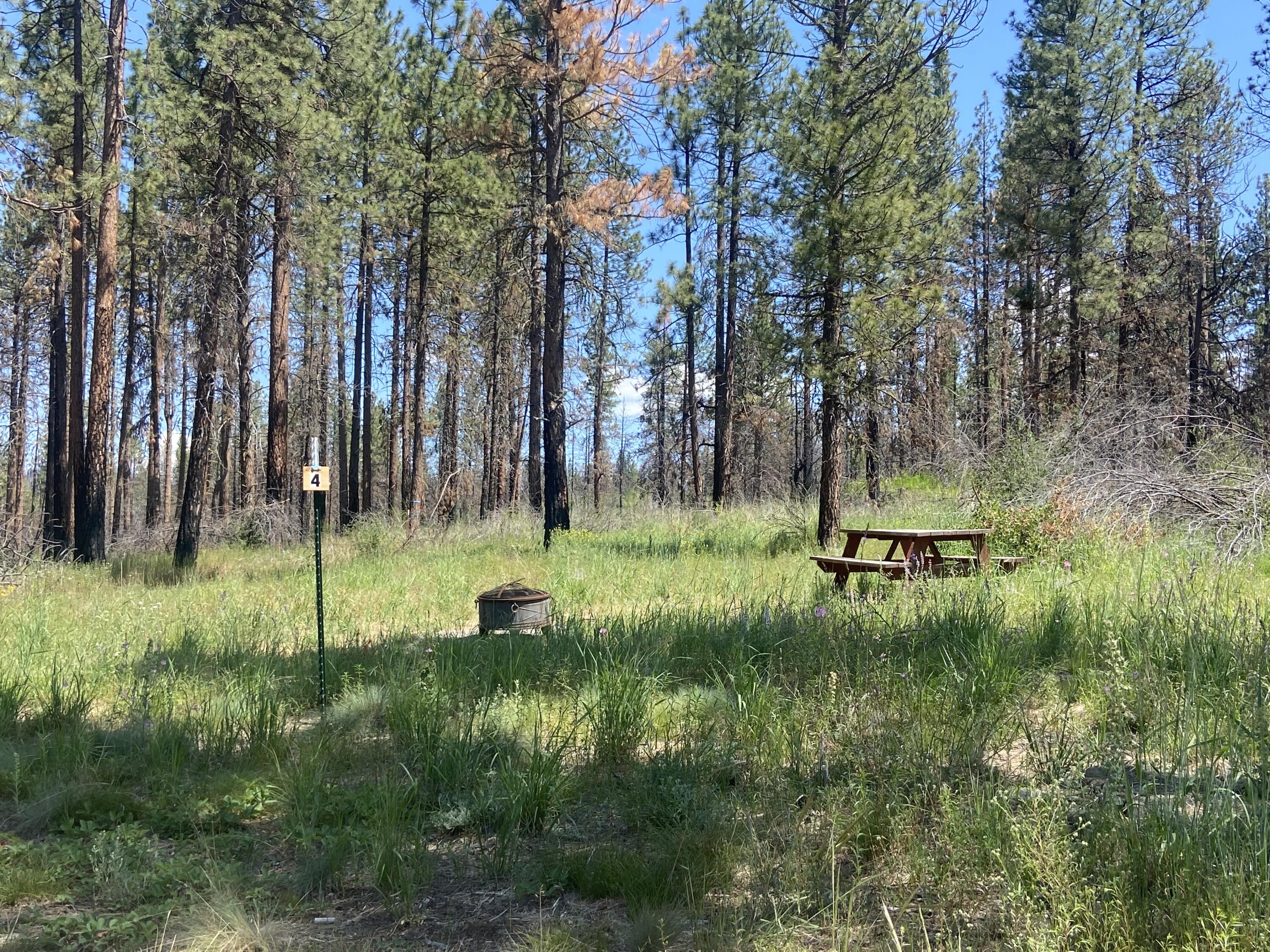 0 Oregon 62 Chiloquin, OR 97624 - Photo 26 of 42 IMG_1389
